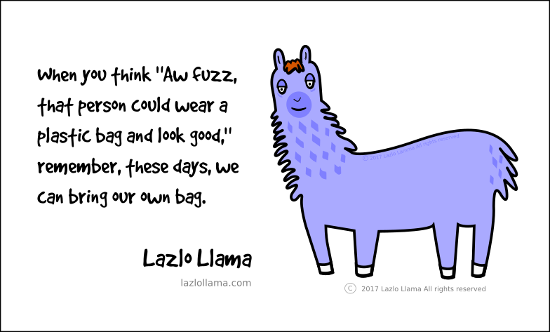 Lazlo Llama - Self Image Checkout Self Image Checkout